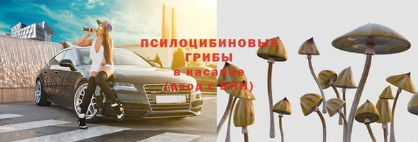 кокс Вяземский