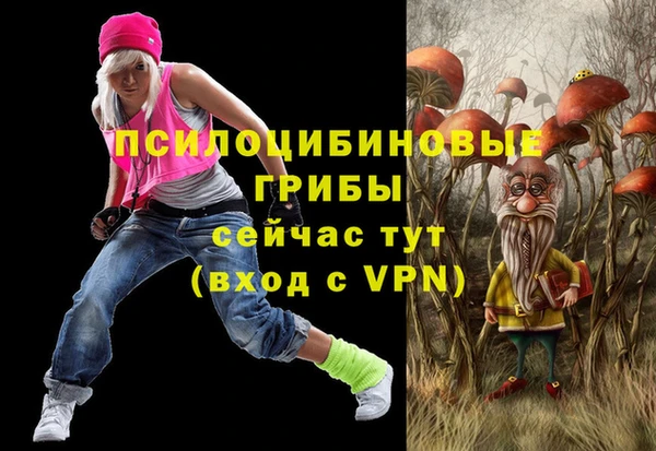 дживик Вязники