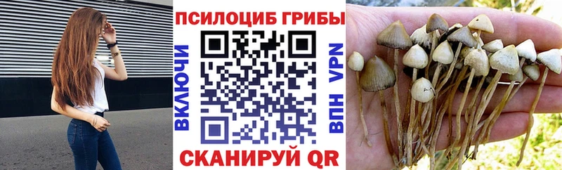 Галлюциногенные грибы Psilocybine cubensis  Купить где  Кумертау 